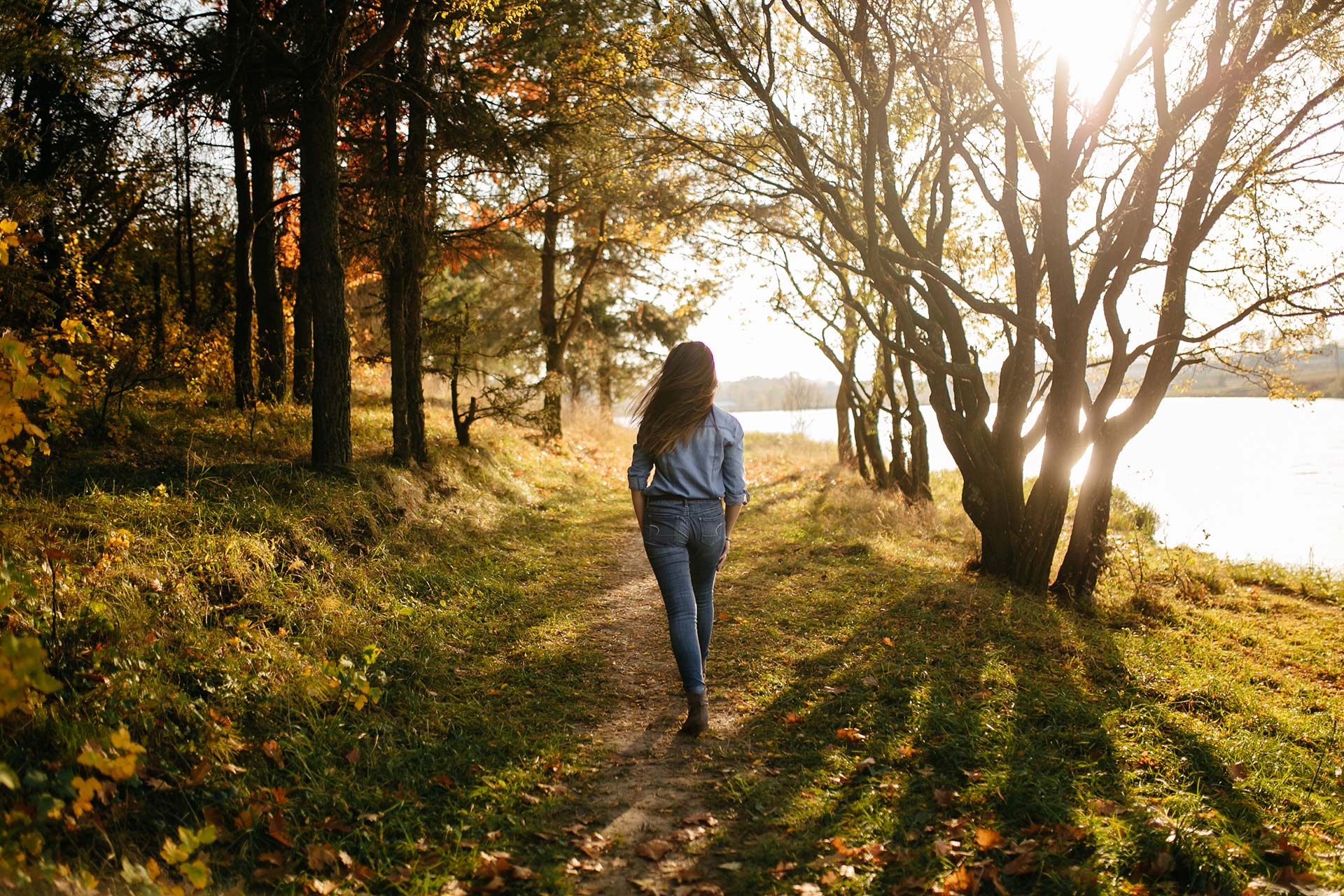 Op de Hey — wandelen in het bos